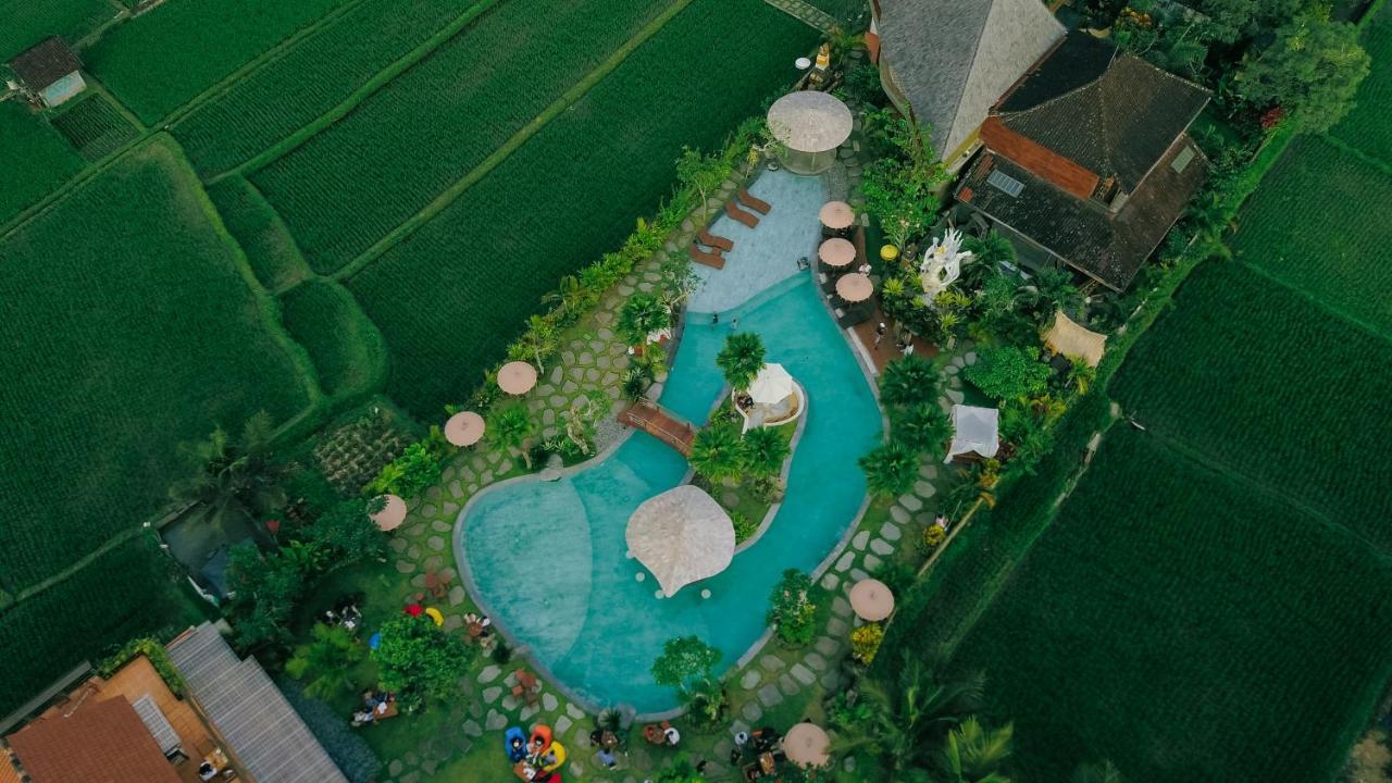 Candy Villa By Pramana Villas أوبود المظهر الخارجي الصورة
