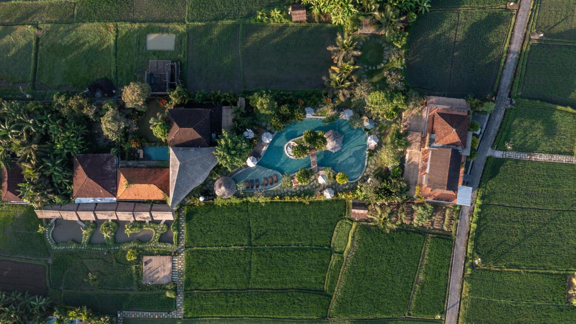 Candy Villa By Pramana Villas أوبود المظهر الخارجي الصورة